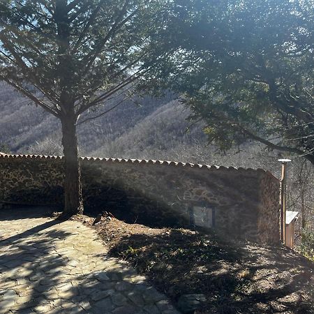 Ferienwohnung Mas Caraus Montferrer Exterior foto