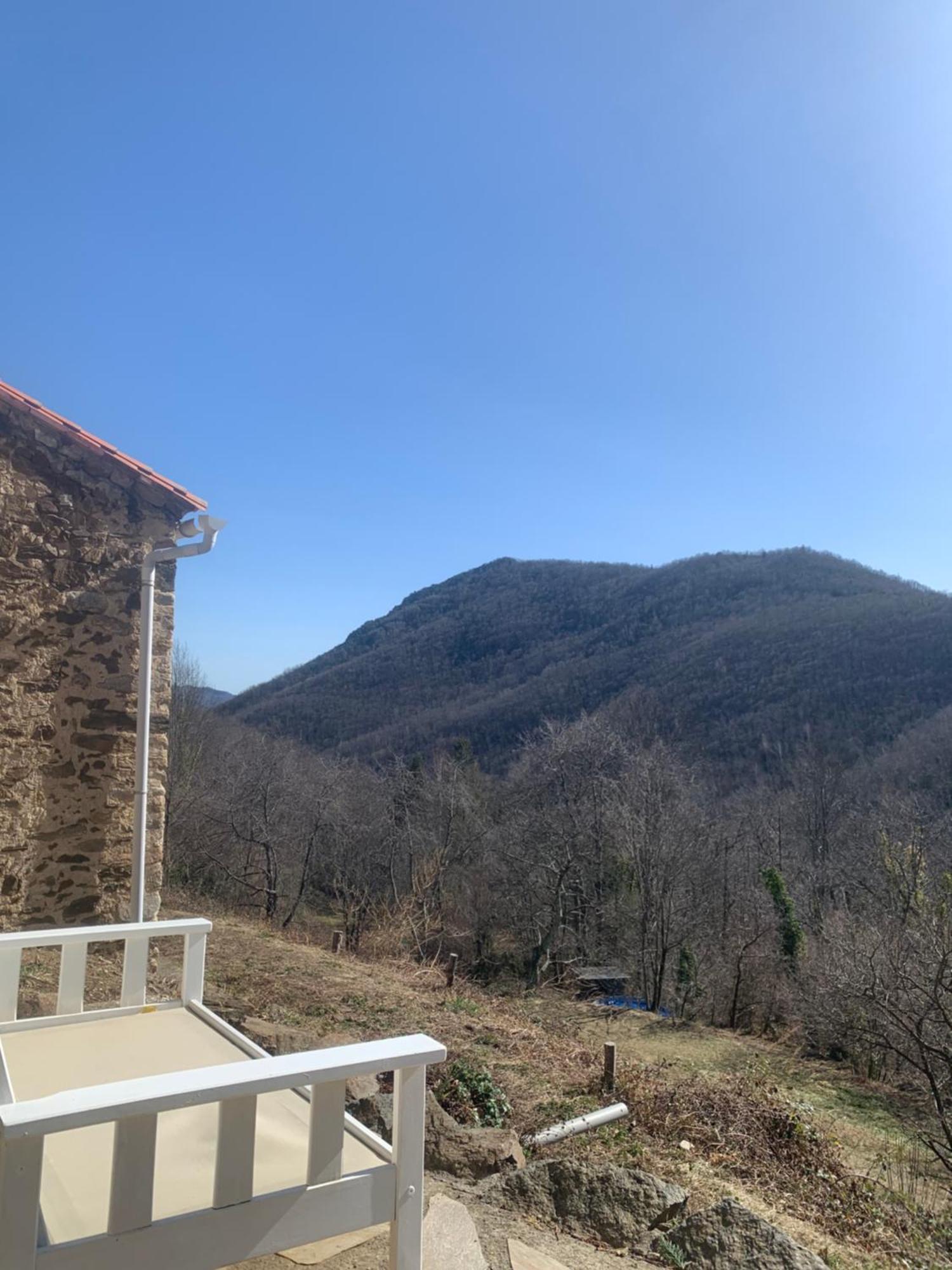Ferienwohnung Mas Caraus Montferrer Exterior foto